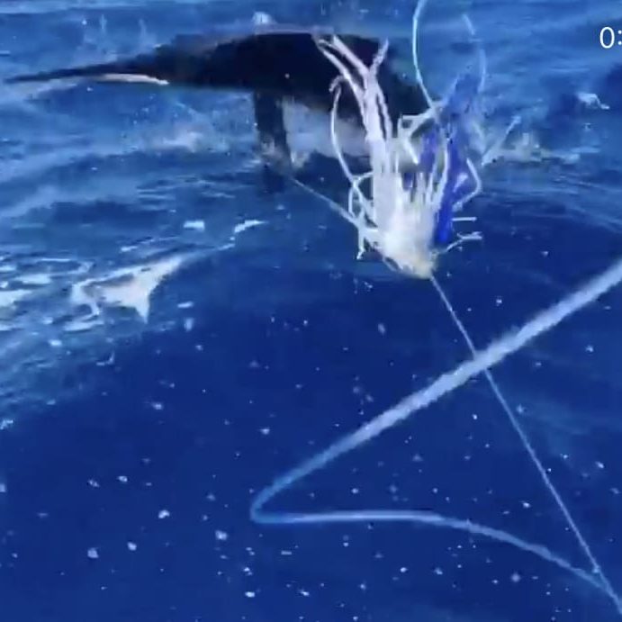 Diani Samaki Classic 2021-