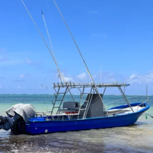 princess layla Sport fishing diani