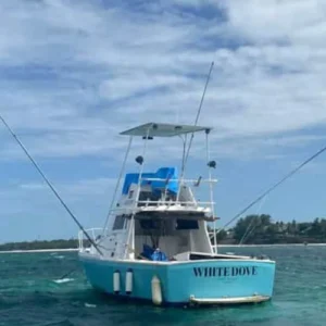 White dove Sport fishing diani