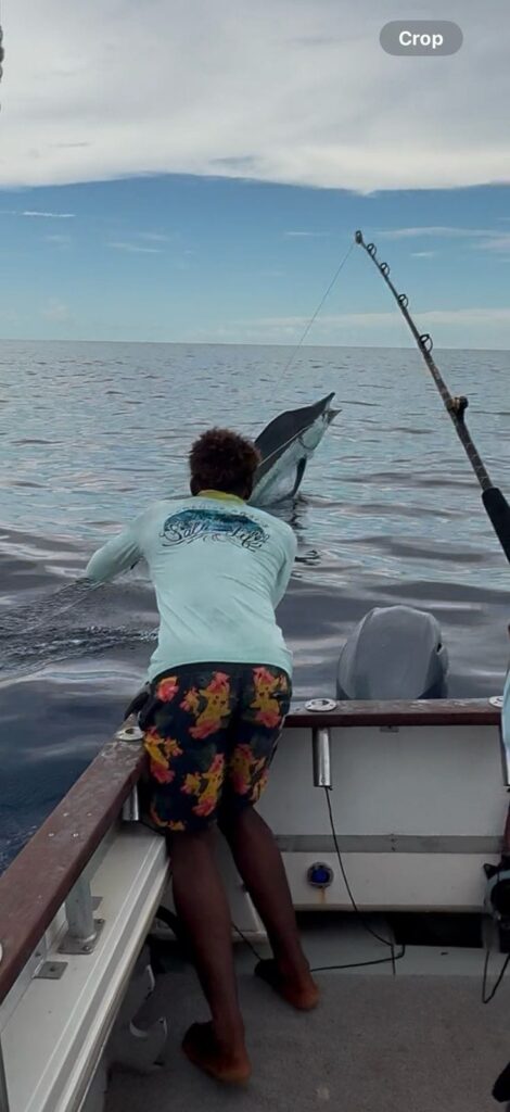 record blue marlin catch