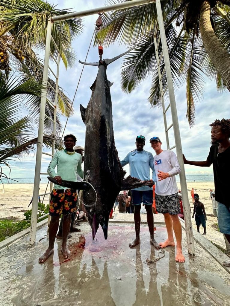 record blue marlin catch
